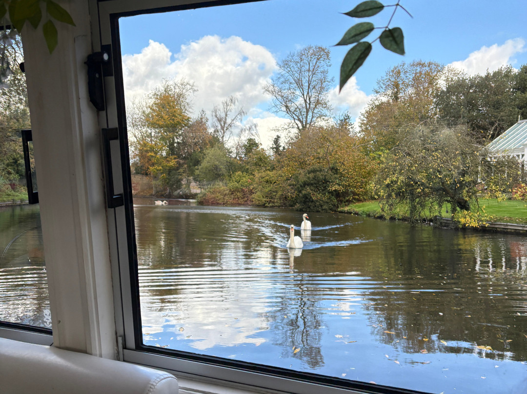 Georgie's Canal Cruises-Penkridge必去景点