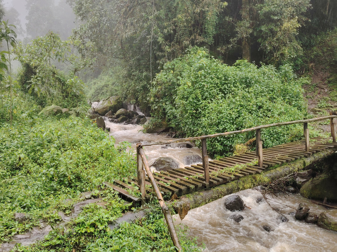 Mount Elgon Trekkers-Kapchorwa必去景点