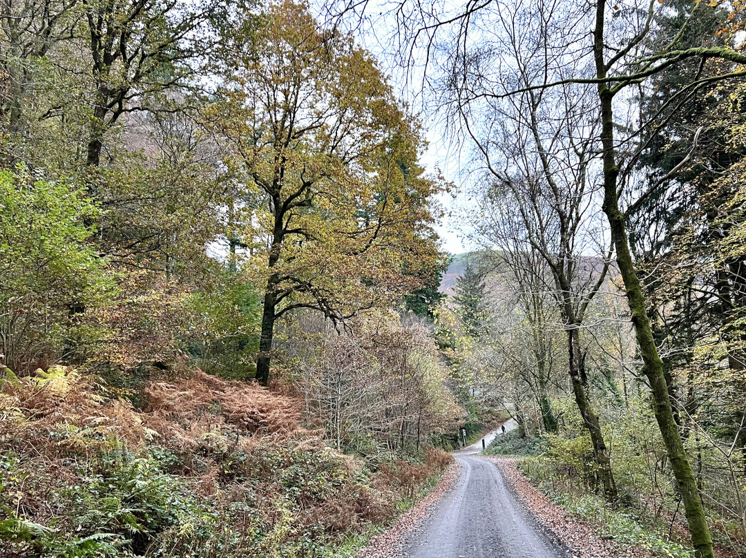 Tan Y Coed-Corris必去景点