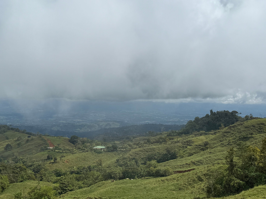 Jungle ATV Quad Tours-乌维塔必去景点