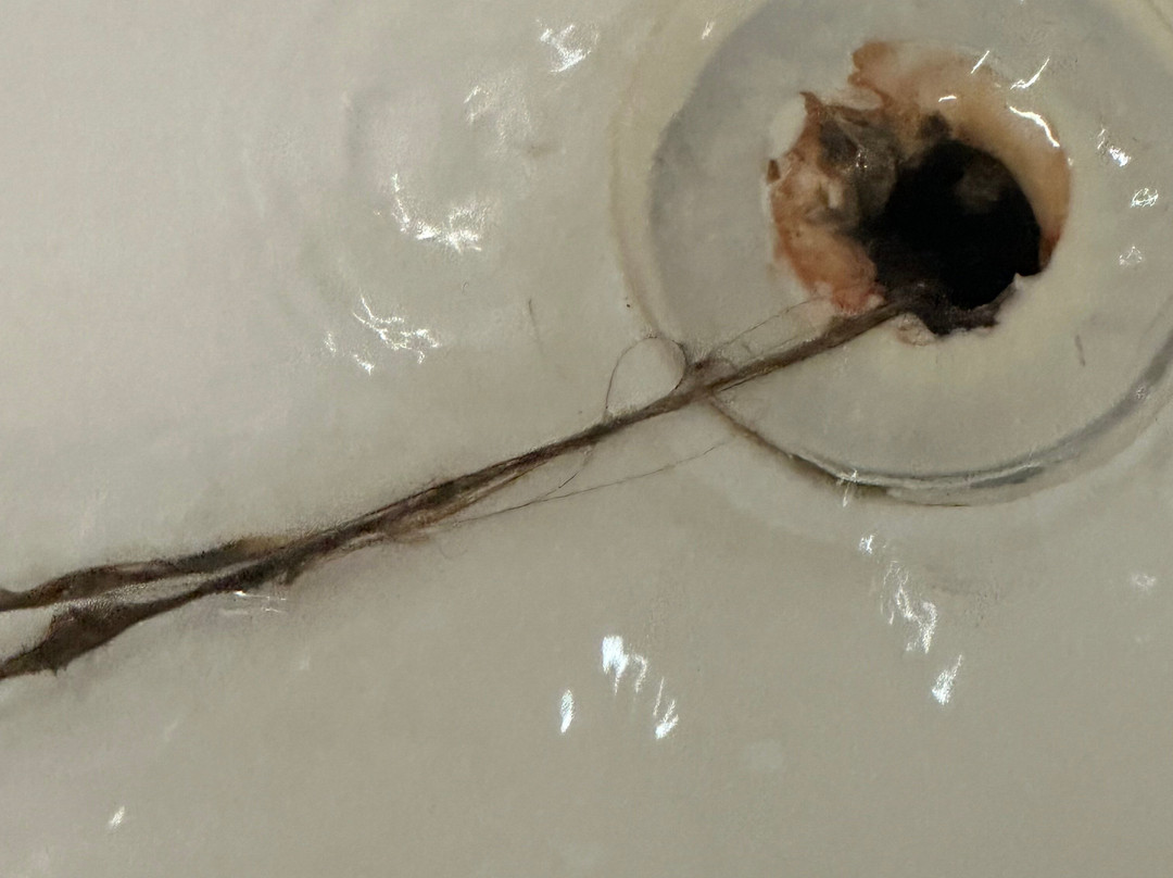 Holiday Inn Columbia-East by IHG主图