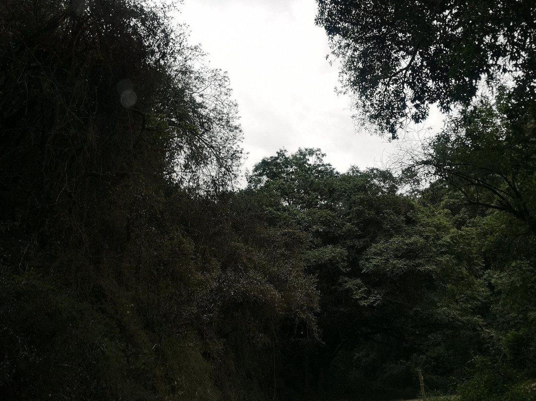 7 Passes Scenic Drive-克尼斯纳必去景点