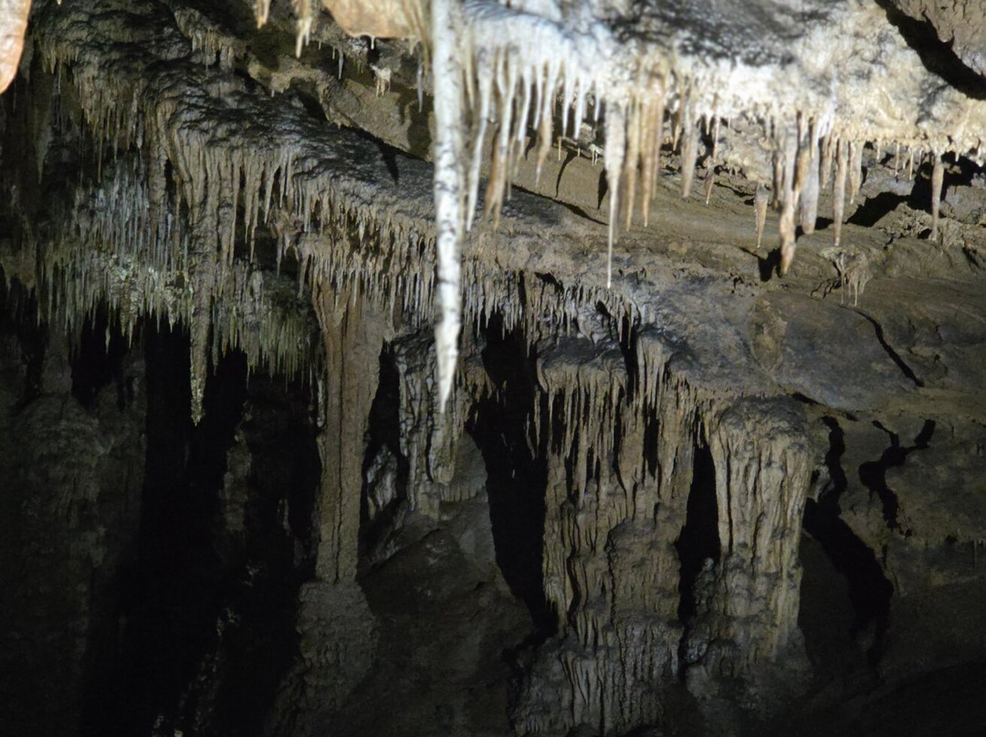 Gunns Plains Caves-Gunns Plains必去景点