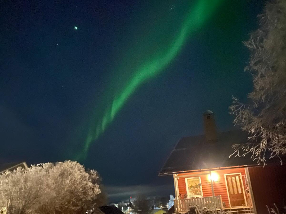 KuksaCabin-Jokkmokk必去景点