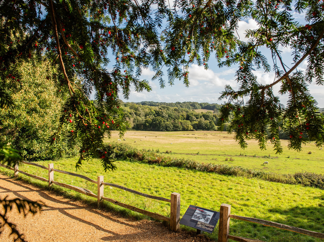 Battle Abbey and Battlefield-巴特尔必去景点