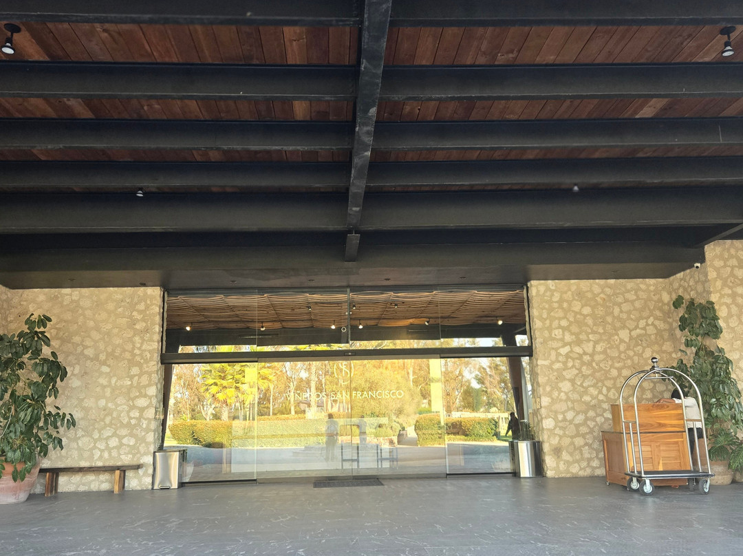 Vinedos San Francisco主图