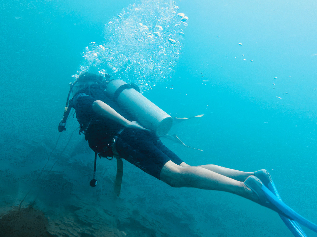 Scuba Nation Diving Centre-高龙撒冷岛必去景点