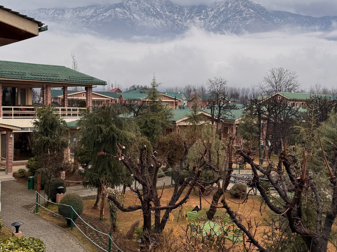 The Orchard Retreat & Spa主图