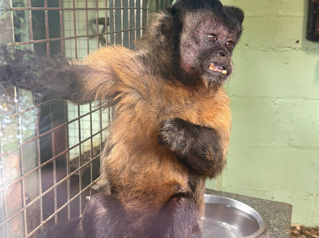 怀特岛动物园-桑当必去景点