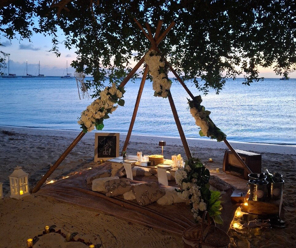 Picnic Aruba-奥腊涅斯塔德必去景点