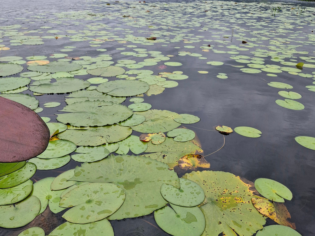 Fazenda Marimbus-迪亚曼蒂那国家公园必去景点