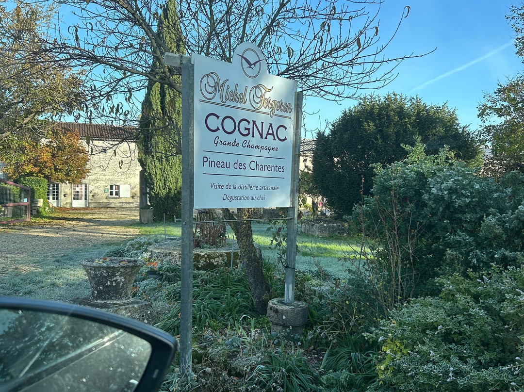Cognac Michel Forgeron-Segonzac必去景点