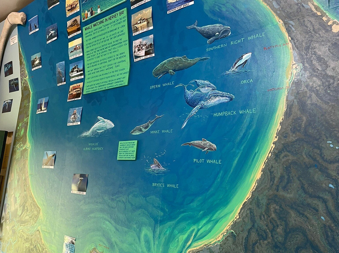 Hervey Bay Historical Village & Museum-Scarness必去景点