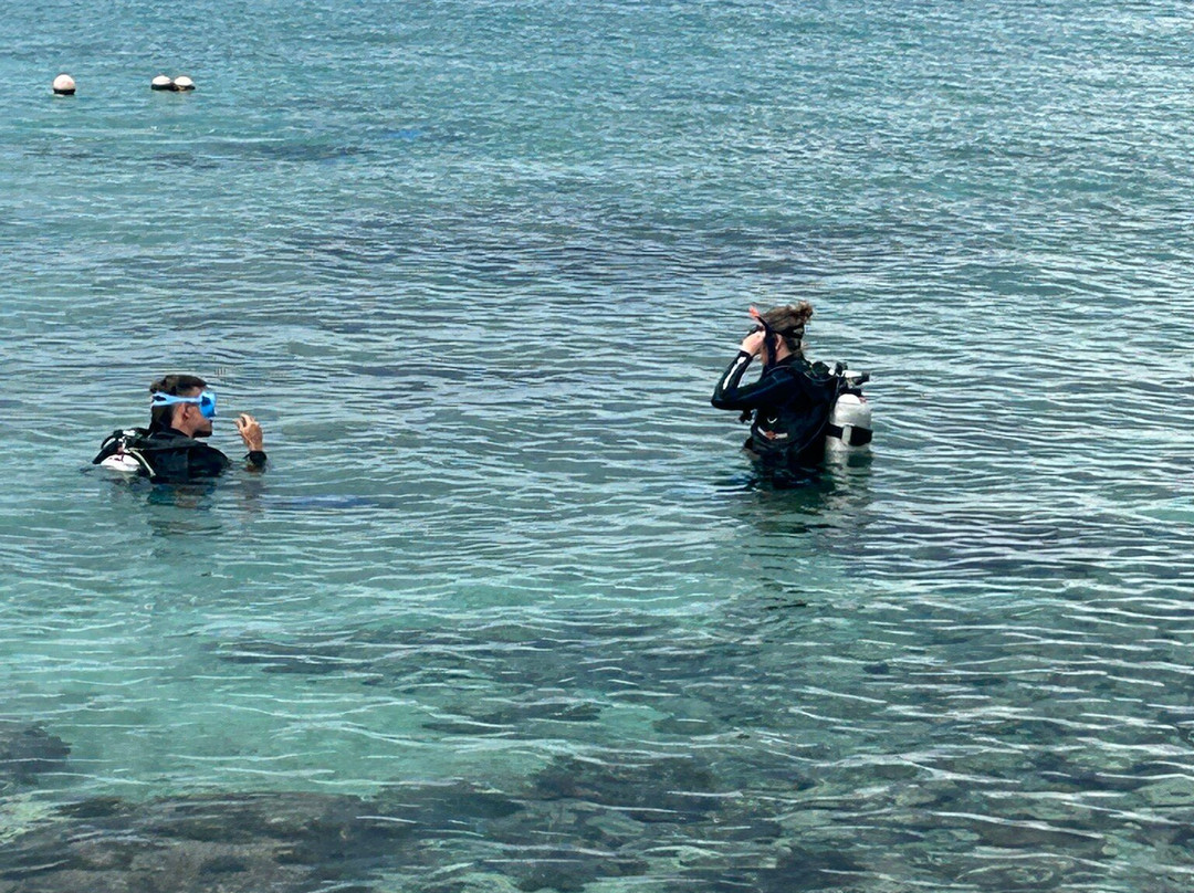 Mergulho na Trip Cozumel-San Miguel de Cozumel必去景点