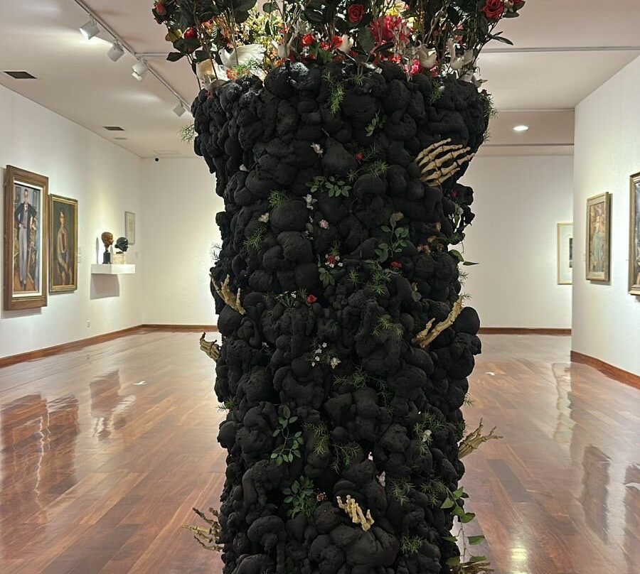 Museo Provincial de Bellas Artes Franklin Rawson-圣胡安省必去景点