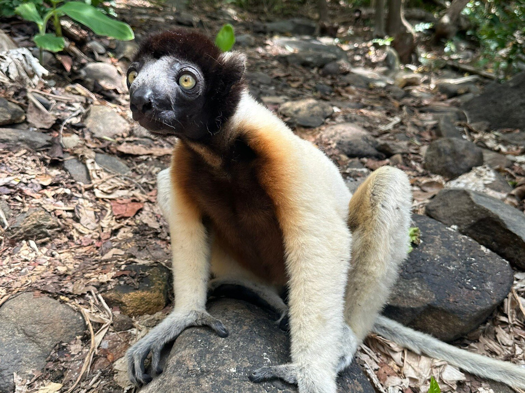 Cosimo Tours-Nosy Iranja必去景点