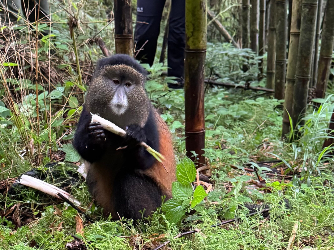 Trek Rwenzori Tours-Fort Portal必去景点