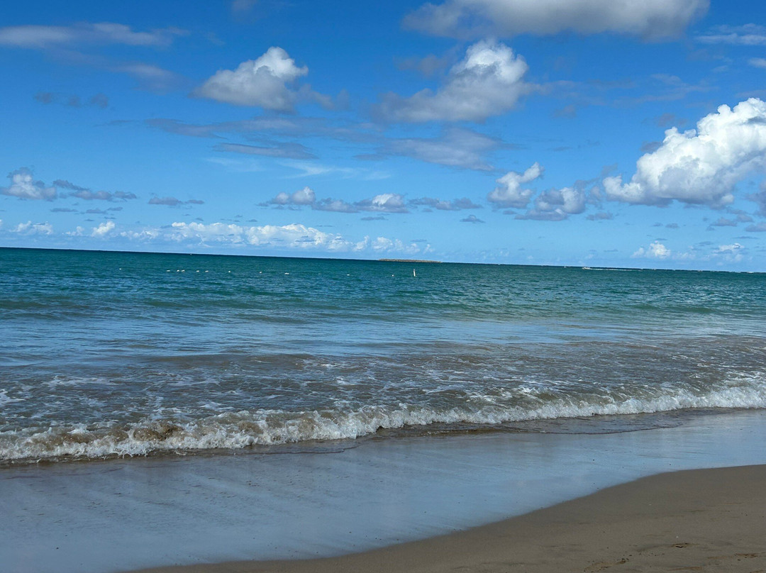 Vivo Beach Club-卡罗来纳必去景点