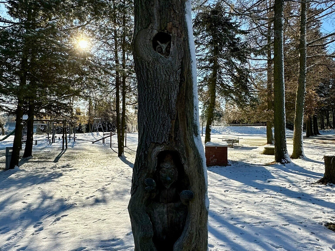 Waldhotel Kreuztanne主图