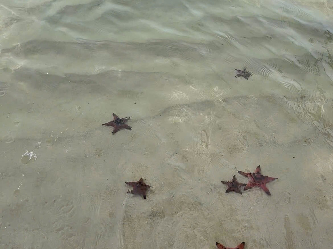 Rooty Trip-富国岛必去景点