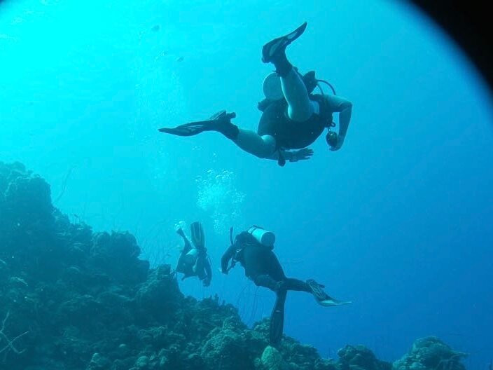 The Diveshop Curacao-威廉斯塔德必去景点