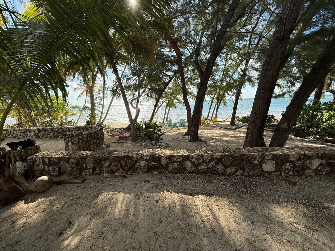 ECO Rides Cayman-East End必去景点