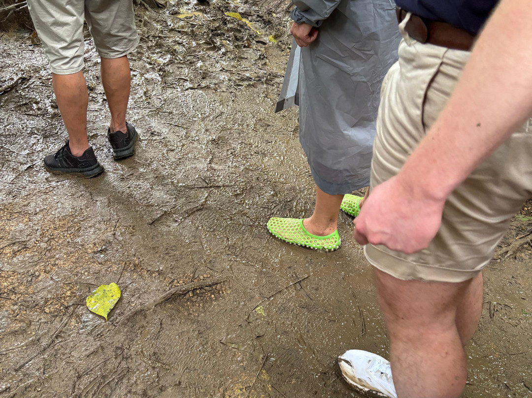 Khao Sok Travel-万打坤必去景点