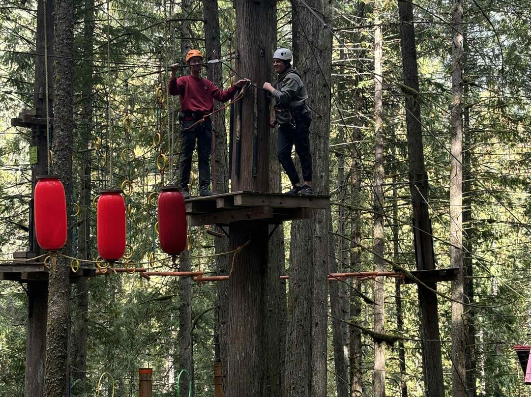 Skytrek Adventure Park-雷夫尔斯托克必去景点