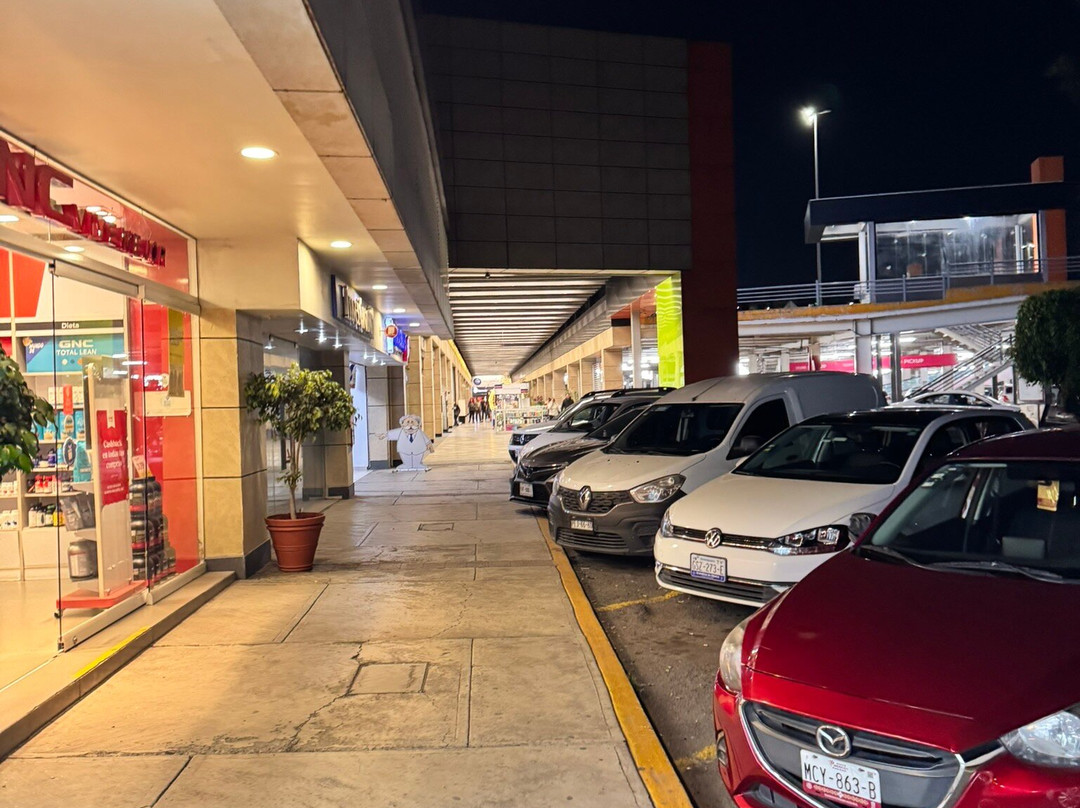 Plaza Valle Dorado-特拉尔内潘特拉必去景点