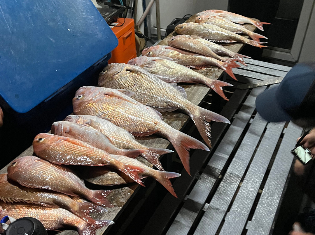 Freetime Adventure Charters-Portarlington必去景点