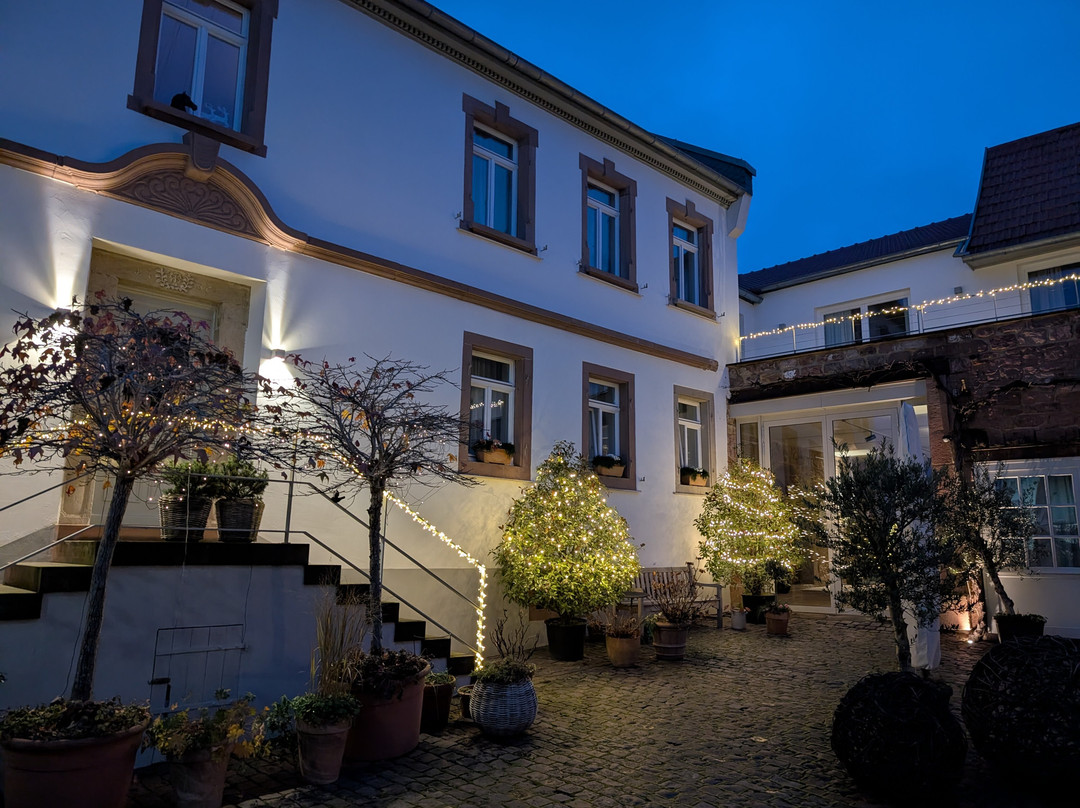 Julius in der Pfalz主图