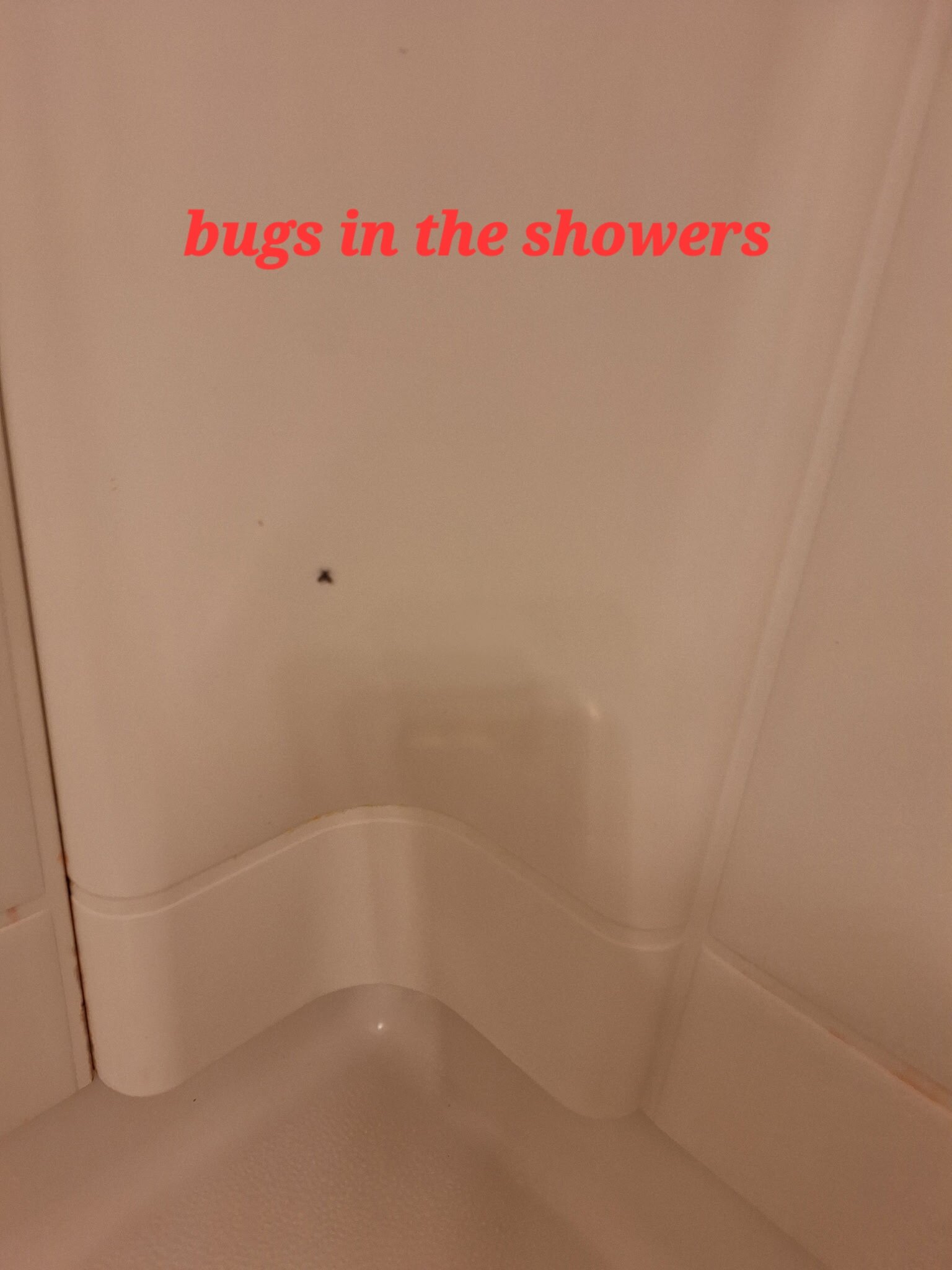 Three Bears Resort-官方