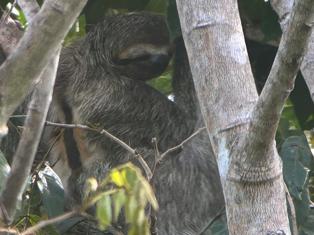 0S3 Private Tours-哈科必去景点