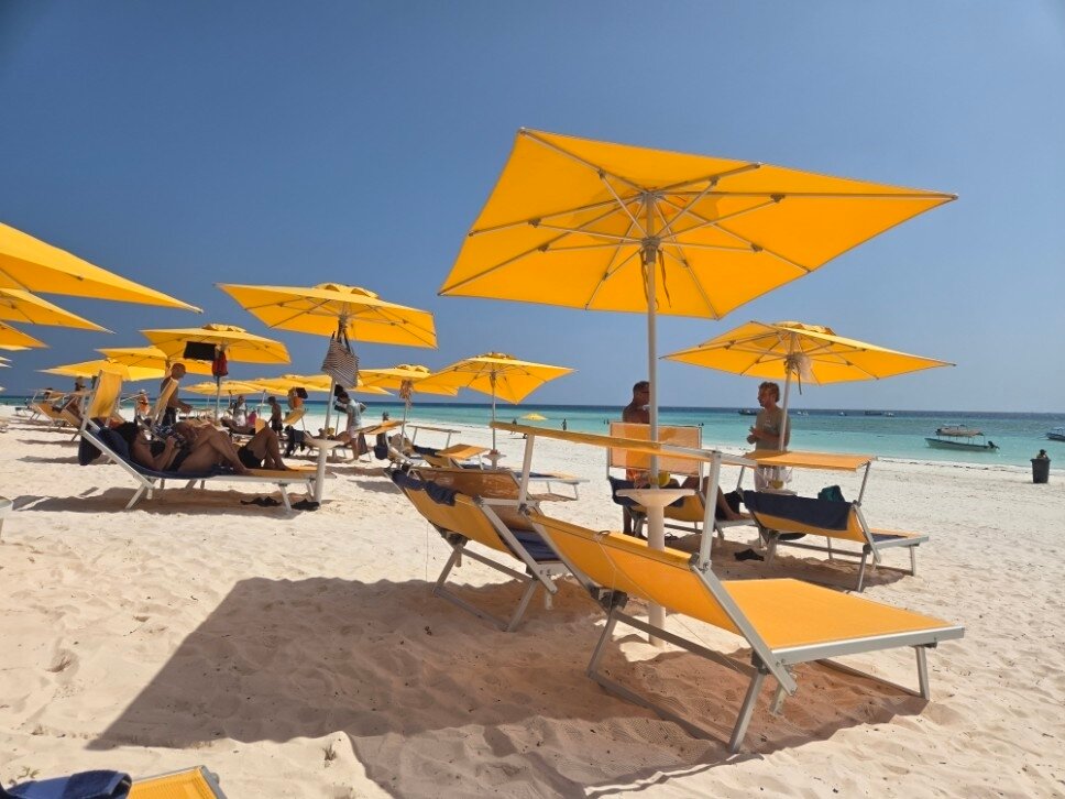 The Mora Zanzibar-官方