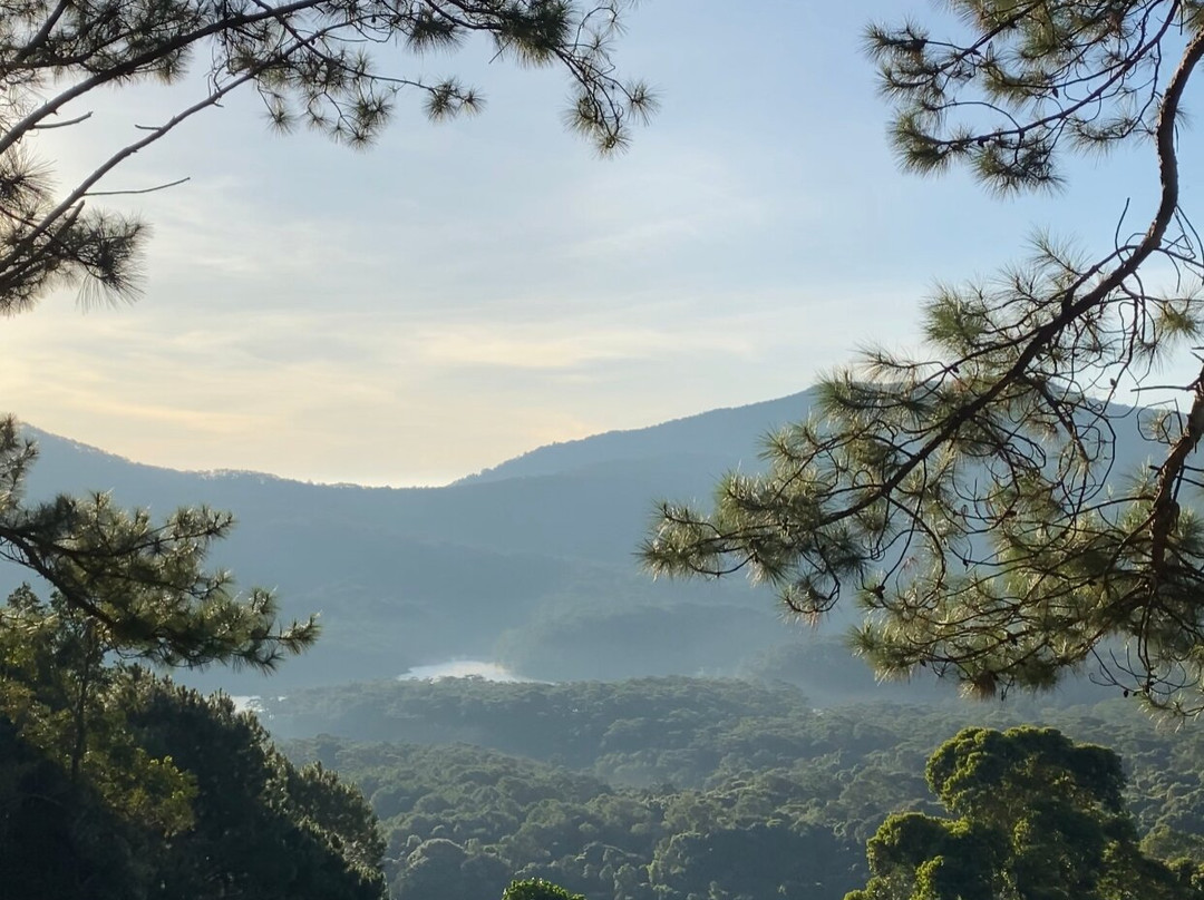 Sivananda Yoga Resort And Training Center-大勒必去景点