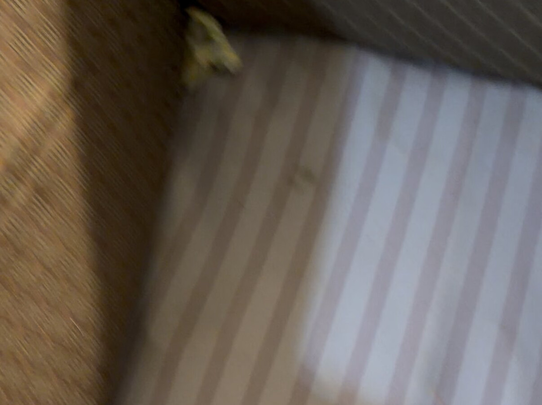 Days Inn & Suites by Wyndham Laurel Near Fort Meade主图