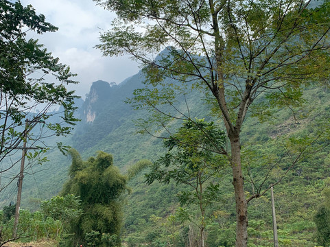 Hagiang Buffalo Tour-河内必去景点