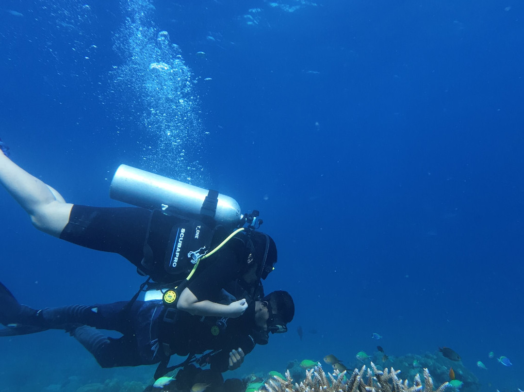 Turquoise Dream | PADI Dive Centre-Neil Island必去景点