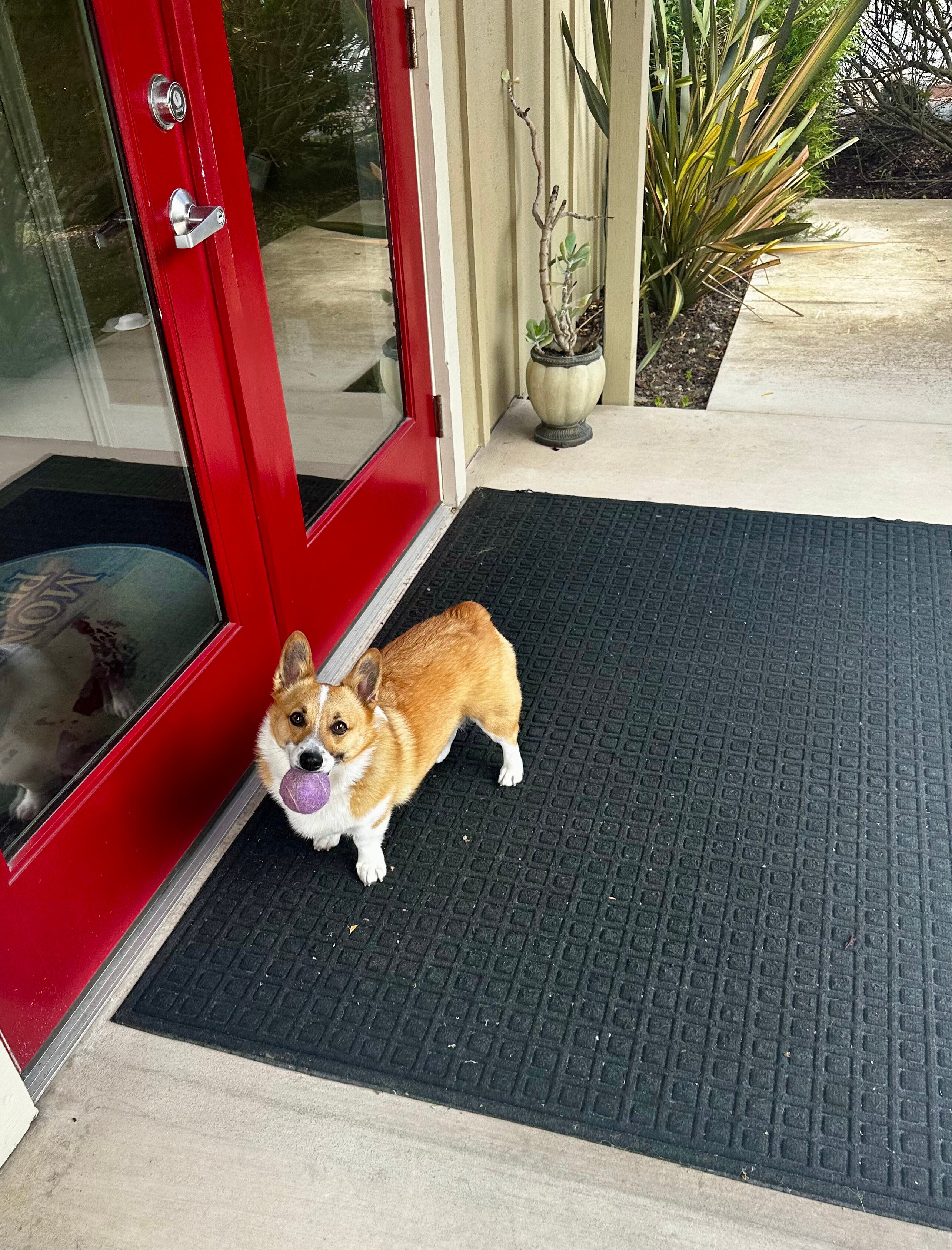 蒙特雷半岛酒店-官方