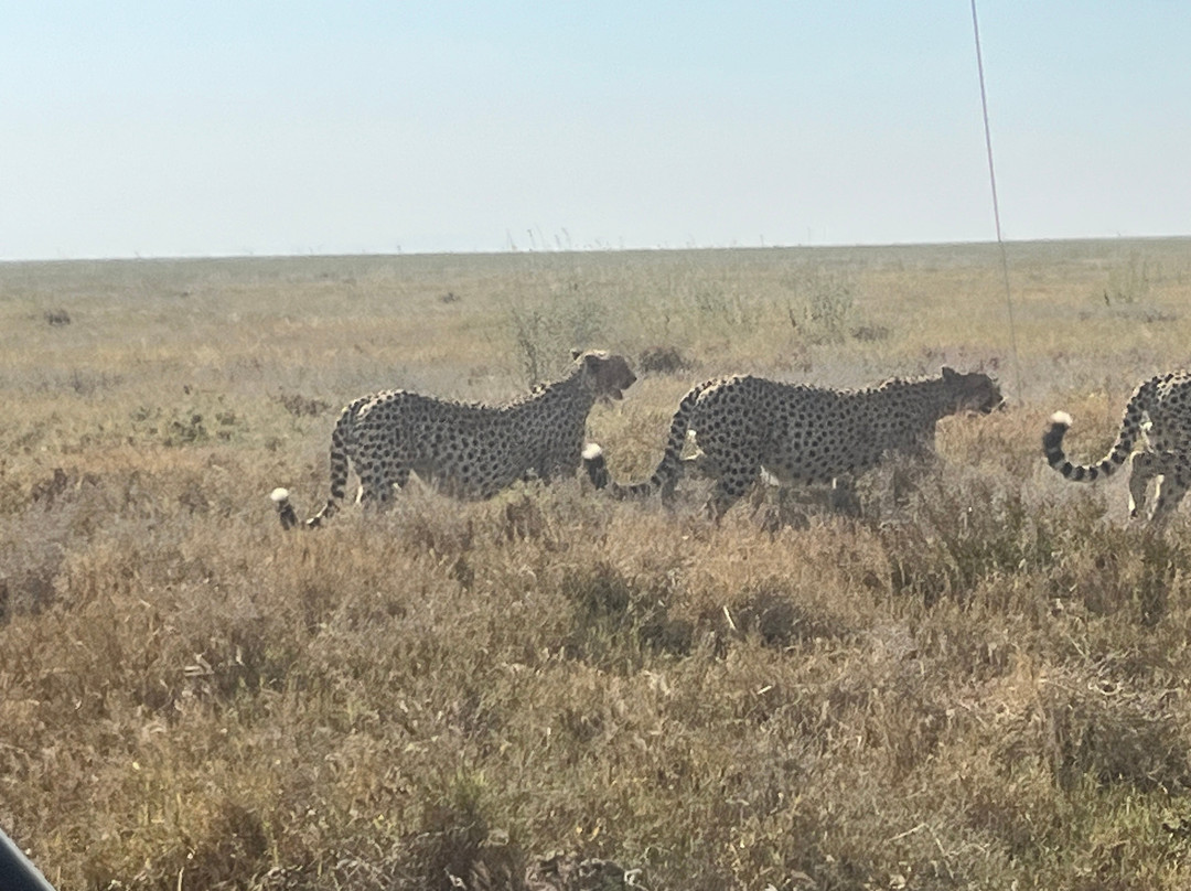 Visit Natives-Kautokeino必去景点