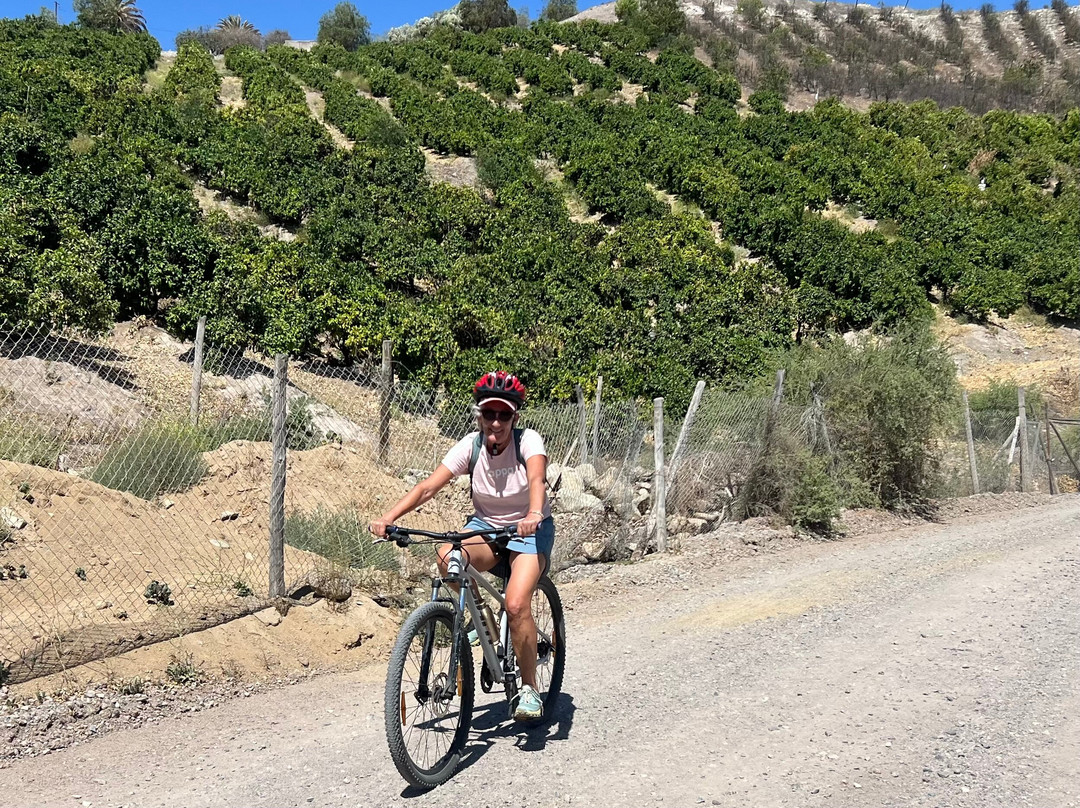 Elki Magic-Vicuna必去景点