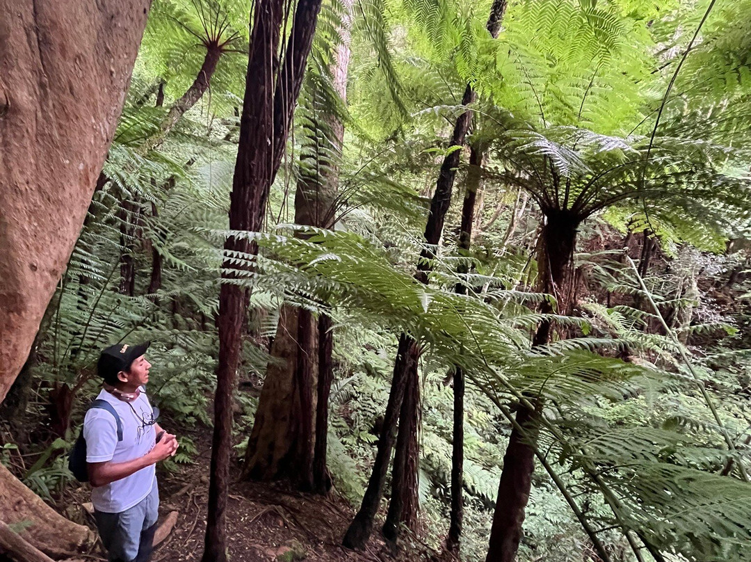 Samaipata Tours Turismo & Artesania-Samaipata必去景点