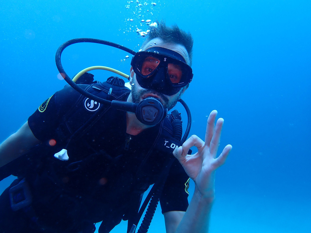 Nemo Diving Center-弗力克昂弗雷克必去景点