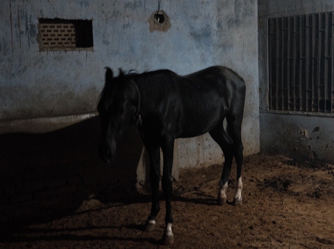 托迪加酒店主图