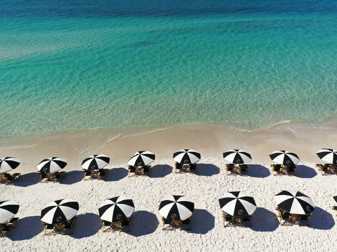 The Pearl Hotel主图