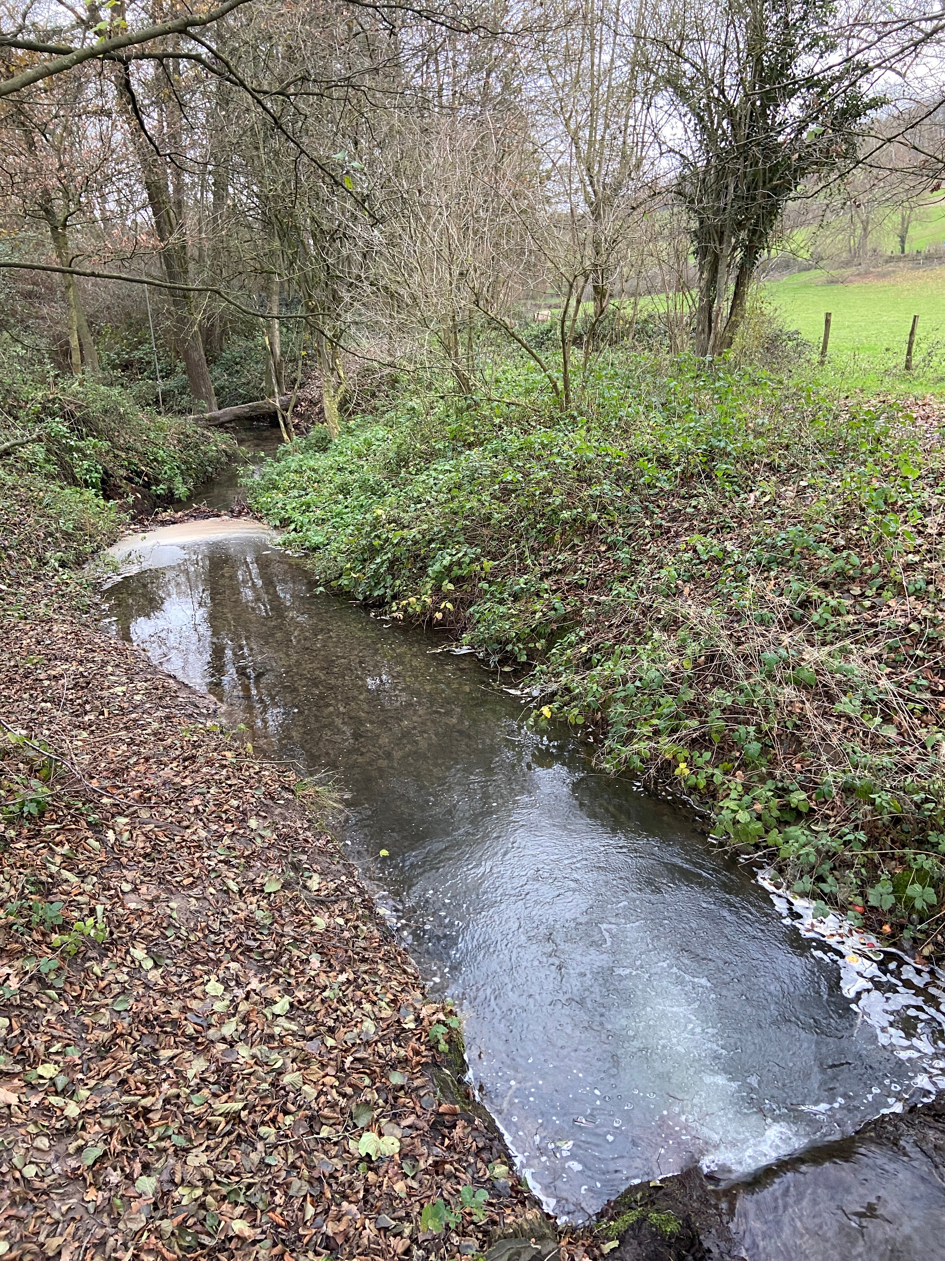 Hotel Blanckthys-官方