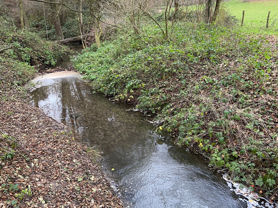 Hotel Blanckthys主图