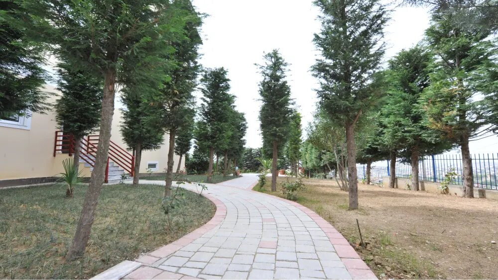 Dora Residence主图