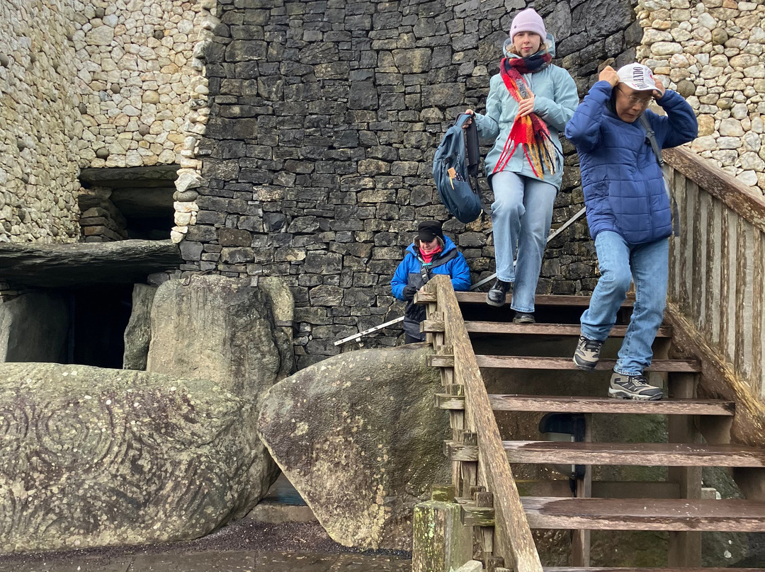 Mary Gibbons Tours-都柏林郡必去景点