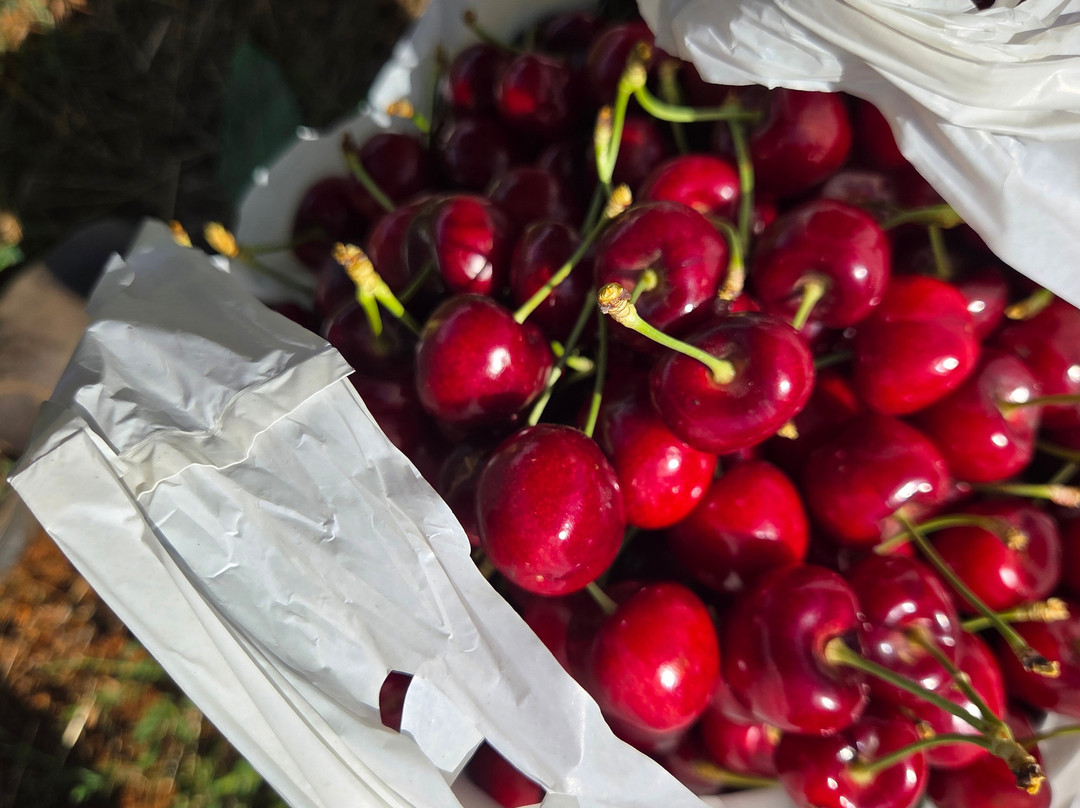 Ballinaclash Fruit & Wine-Young必去景点